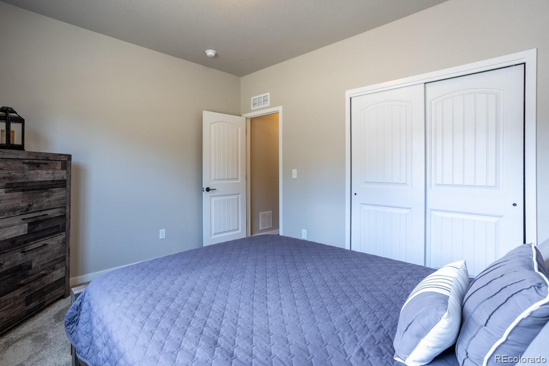 MLS Image #10 for 1045  forest chime place,colorado springs, Colorado