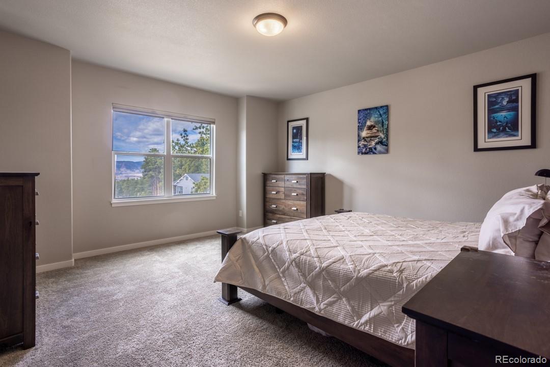 MLS Image #13 for 1045  forest chime place,colorado springs, Colorado