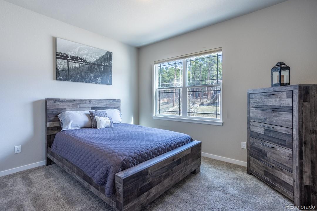 MLS Image #9 for 1045  forest chime place,colorado springs, Colorado