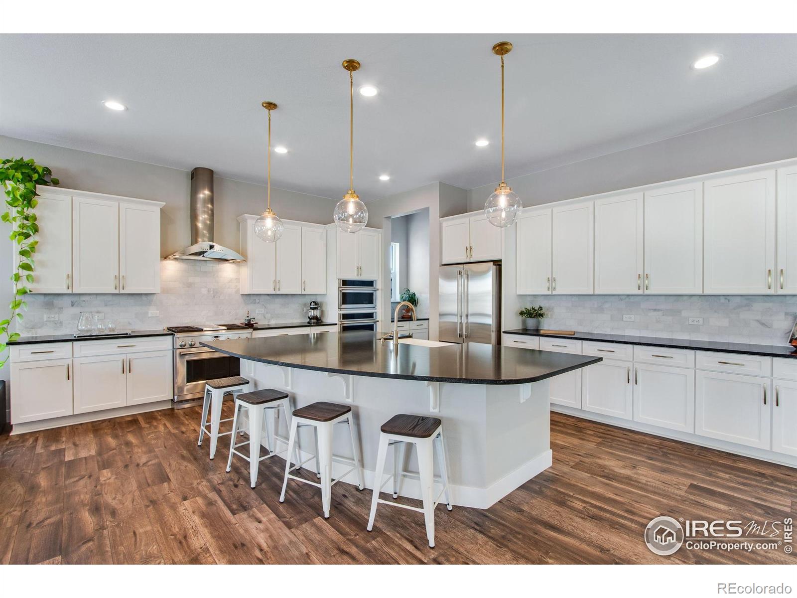 MLS Image #11 for 16335  spanish peak way,broomfield, Colorado
