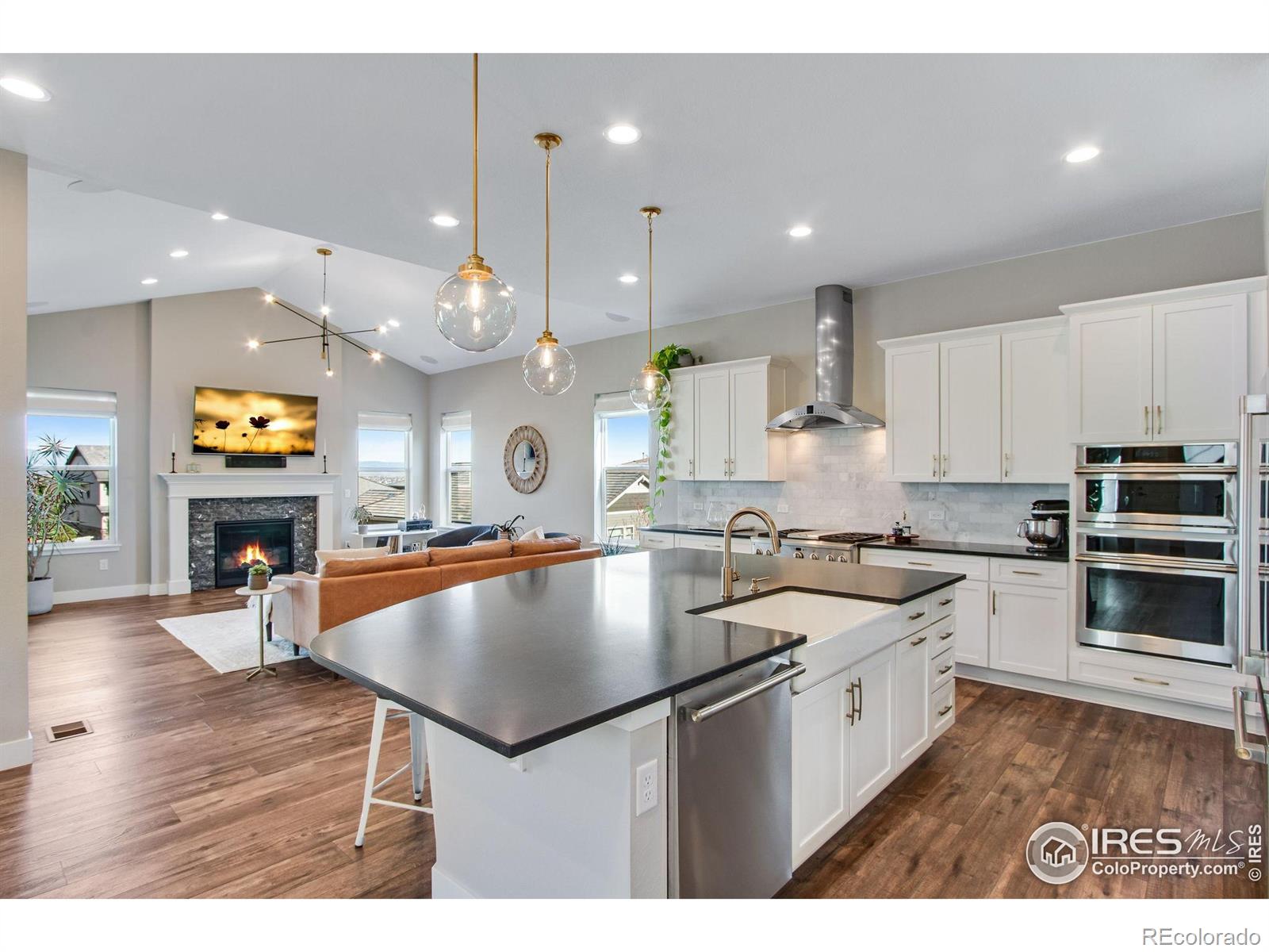 MLS Image #9 for 16335  spanish peak way,broomfield, Colorado