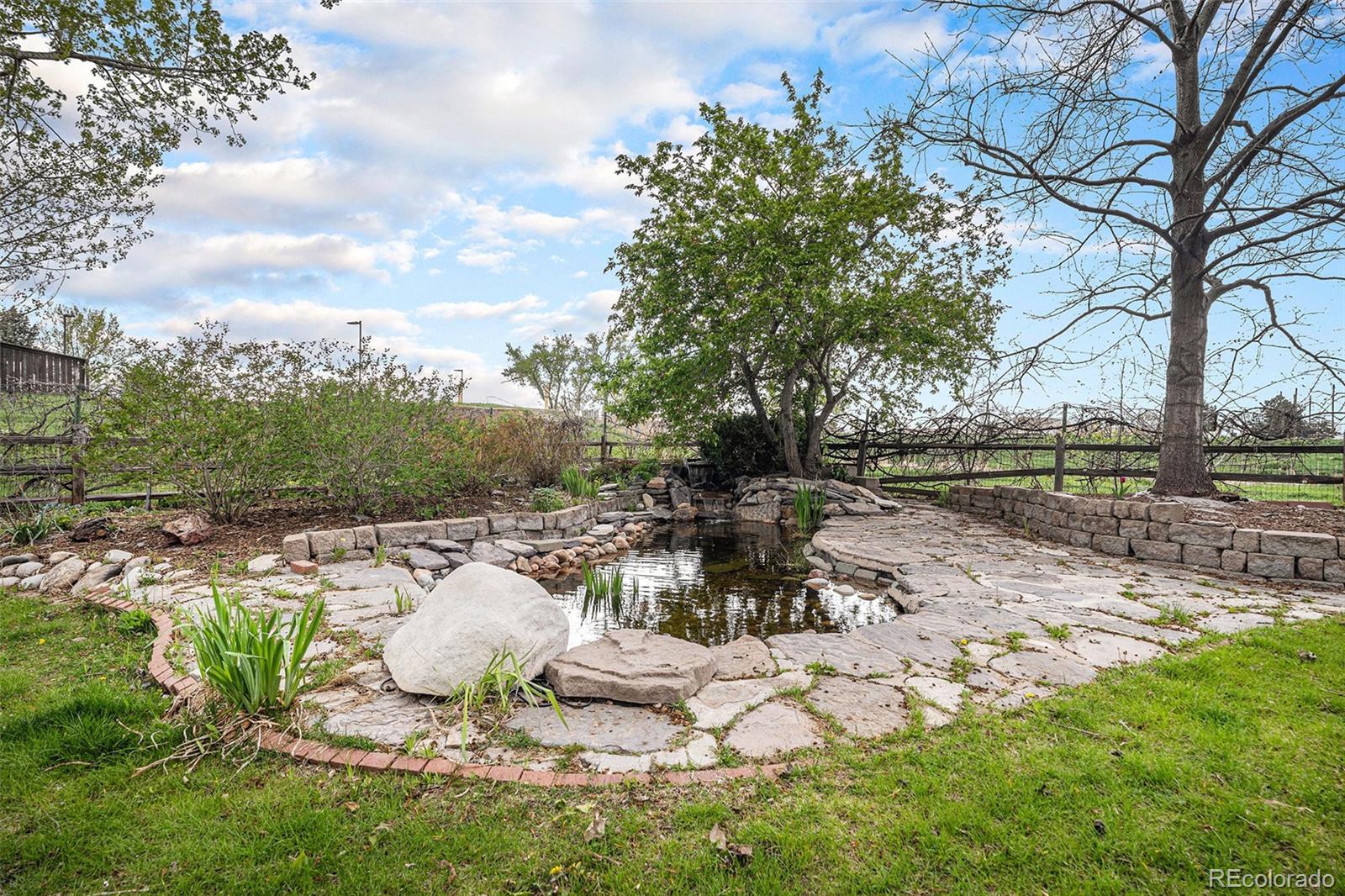 MLS Image #18 for 3285  balsam street,wheat ridge, Colorado