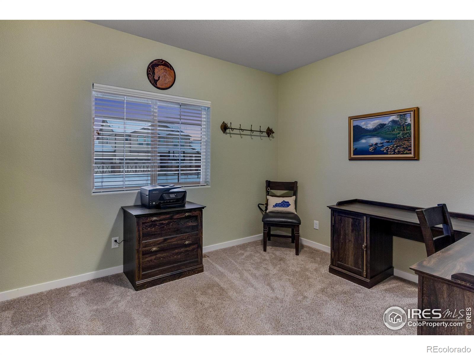 MLS Image #18 for 1895  golden horizon drive,windsor, Colorado