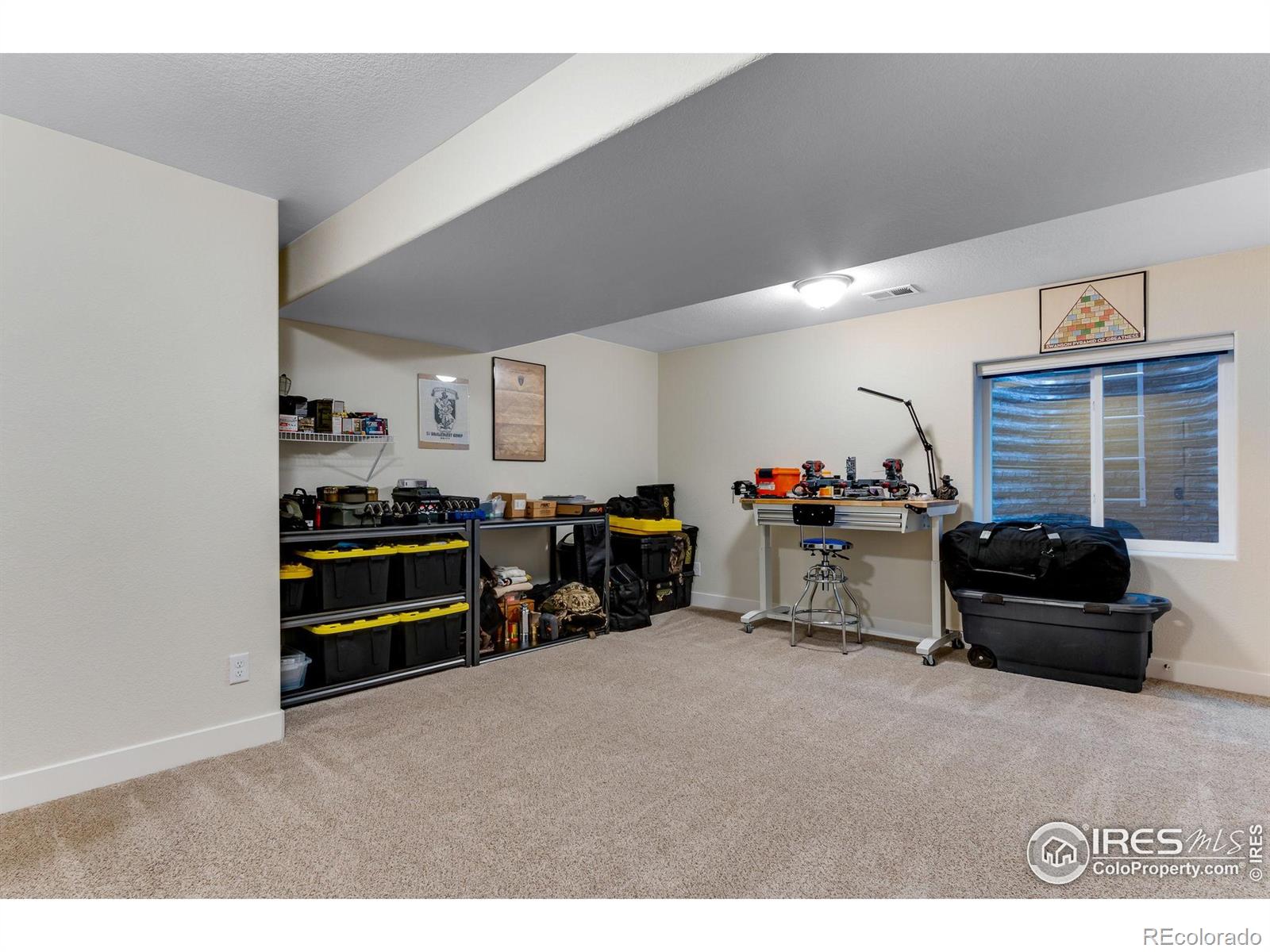 MLS Image #26 for 1895  golden horizon drive,windsor, Colorado