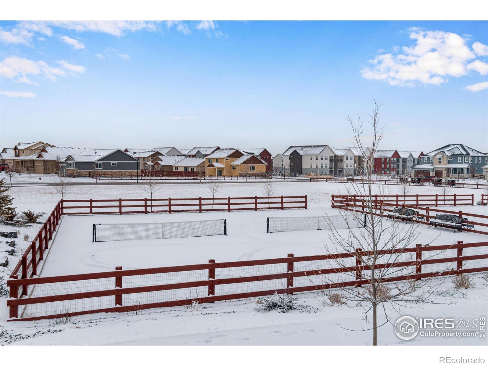 MLS Image #37 for 1895  golden horizon drive,windsor, Colorado