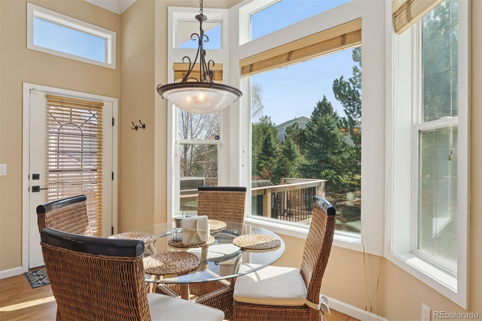 MLS Image #21 for 8528  winter berry drive,castle pines, Colorado