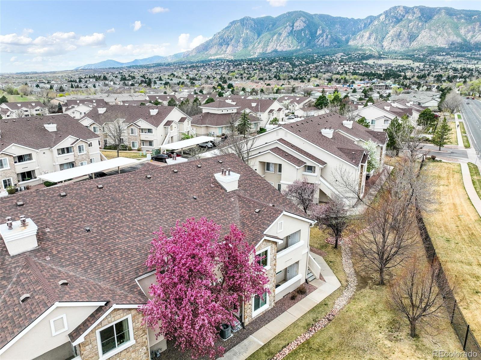 MLS Image #9 for 3890  strawberry field grove,colorado springs, Colorado