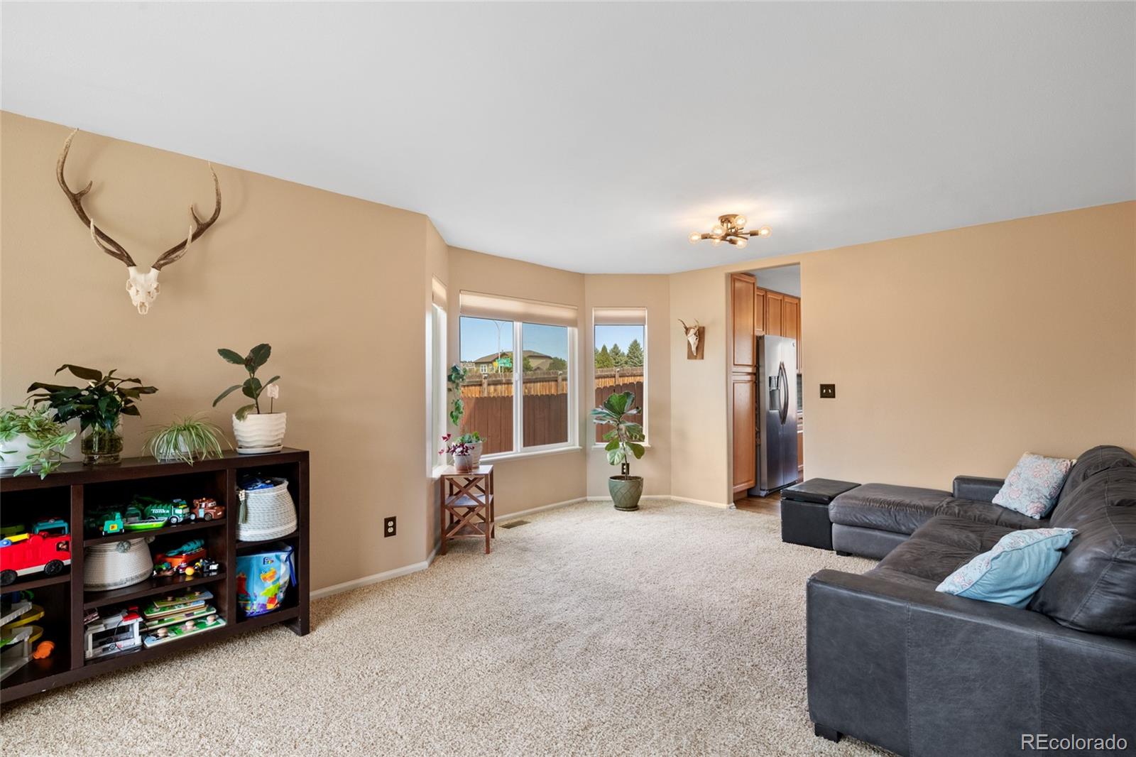 MLS Image #12 for 6428  showhorse court,colorado springs, Colorado