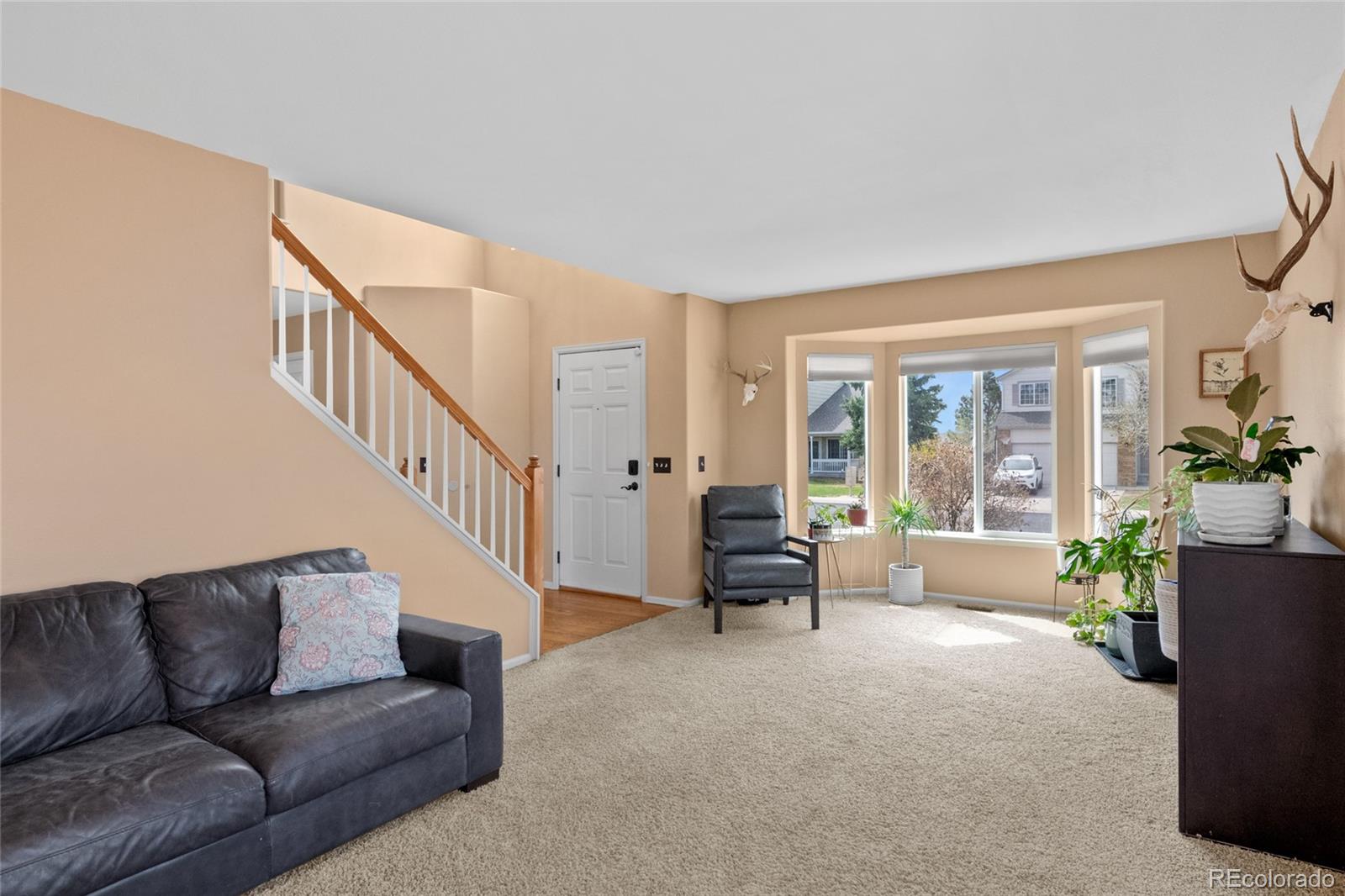 MLS Image #14 for 6428  showhorse court,colorado springs, Colorado