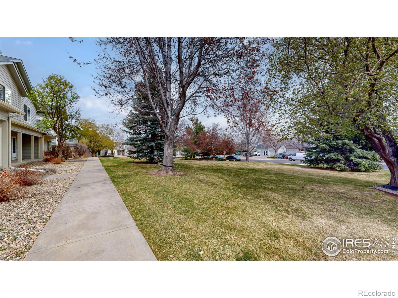 MLS Image #31 for 2950  neil drive,fort collins, Colorado