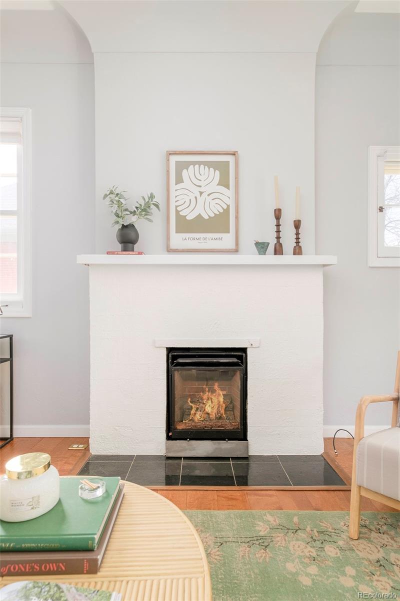 MLS Image #6 for 250 s ogden street,denver, Colorado