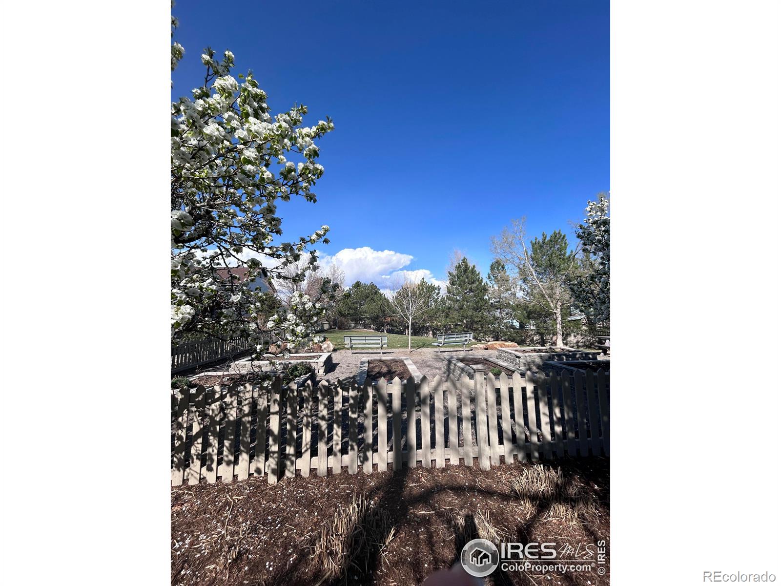 MLS Image #4 for 2569  stonewall lane,lafayette, Colorado