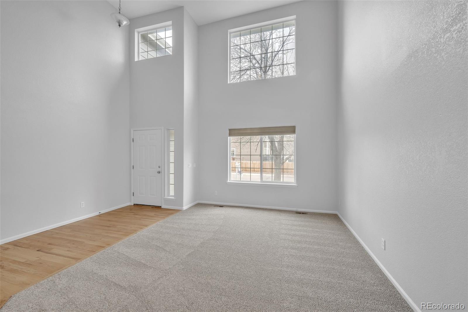 MLS Image #5 for 510  fairhaven street,castle rock, Colorado