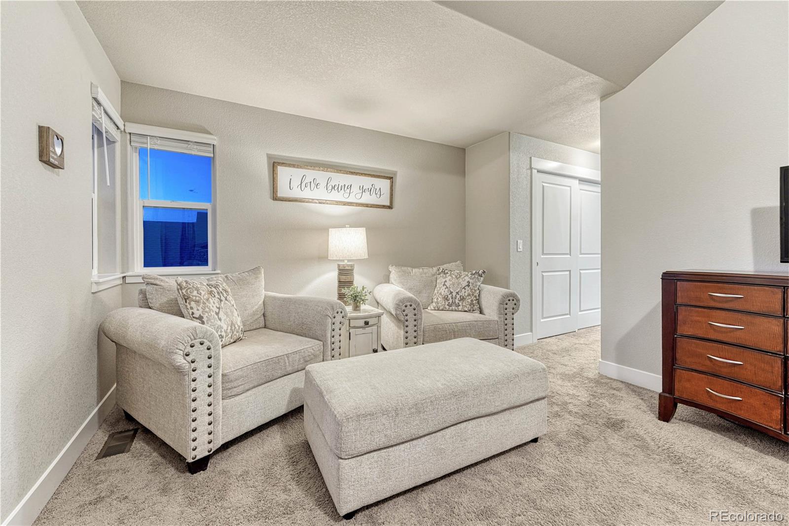MLS Image #19 for 3011  namib drive,colorado springs, Colorado
