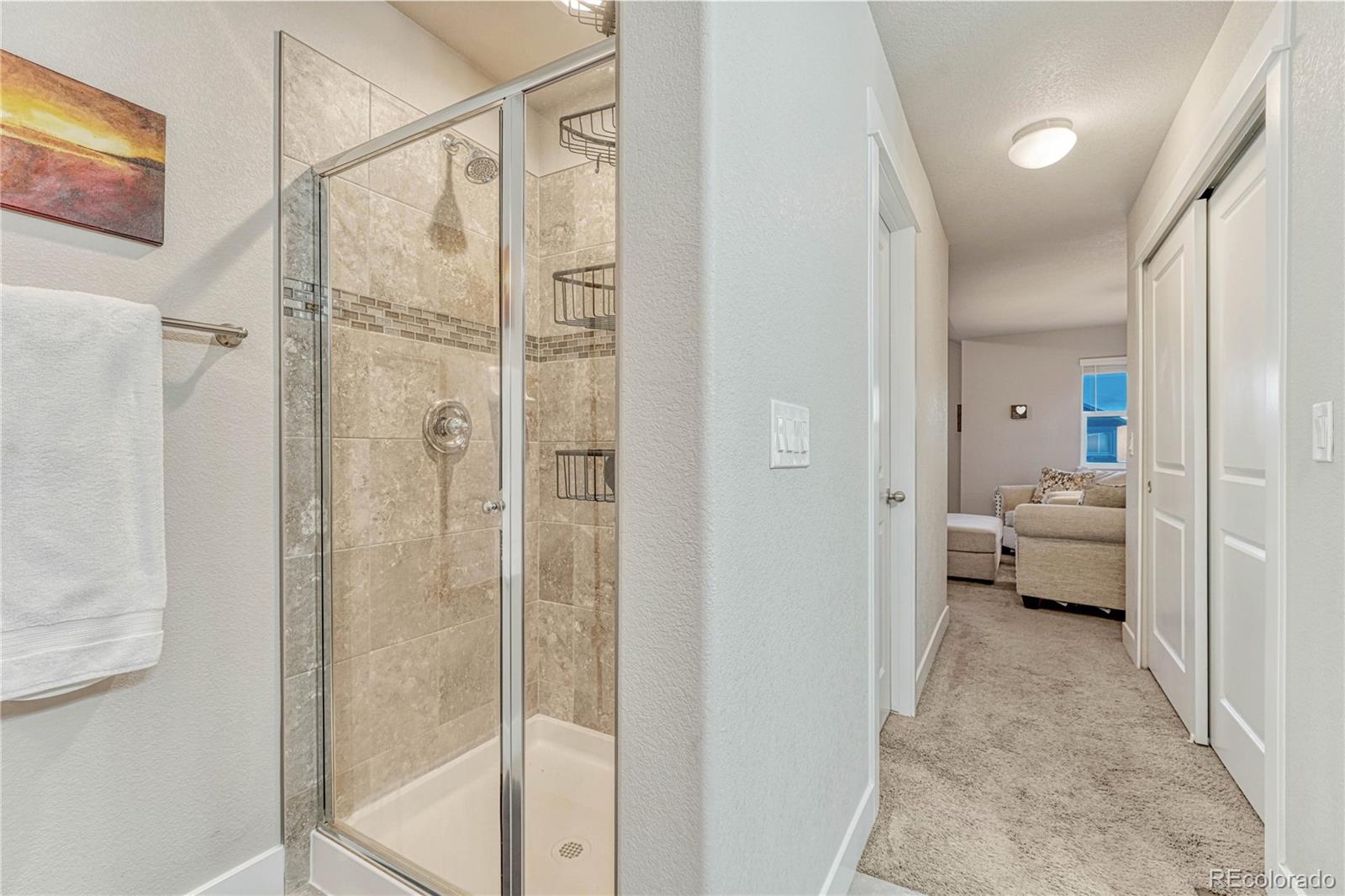 MLS Image #21 for 3011  namib drive,colorado springs, Colorado