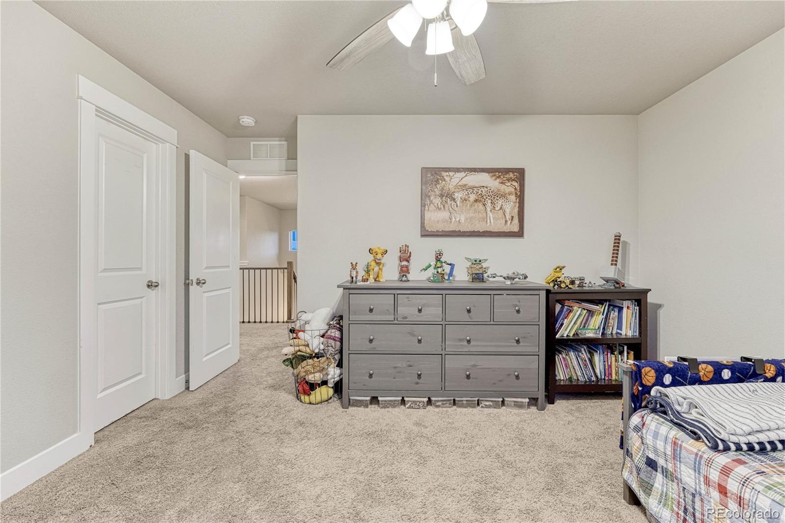 MLS Image #26 for 3011  namib drive,colorado springs, Colorado