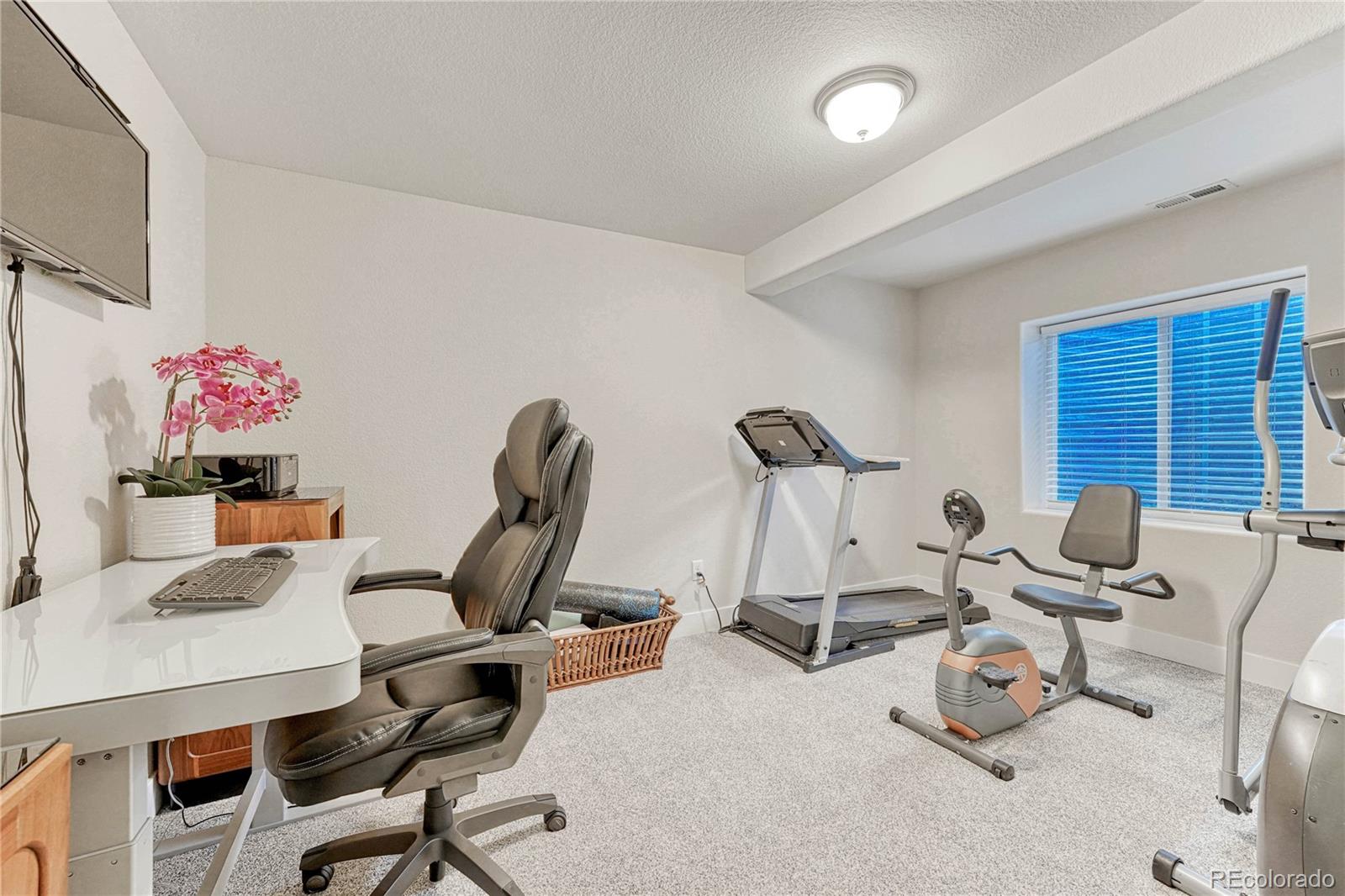MLS Image #36 for 3011  namib drive,colorado springs, Colorado