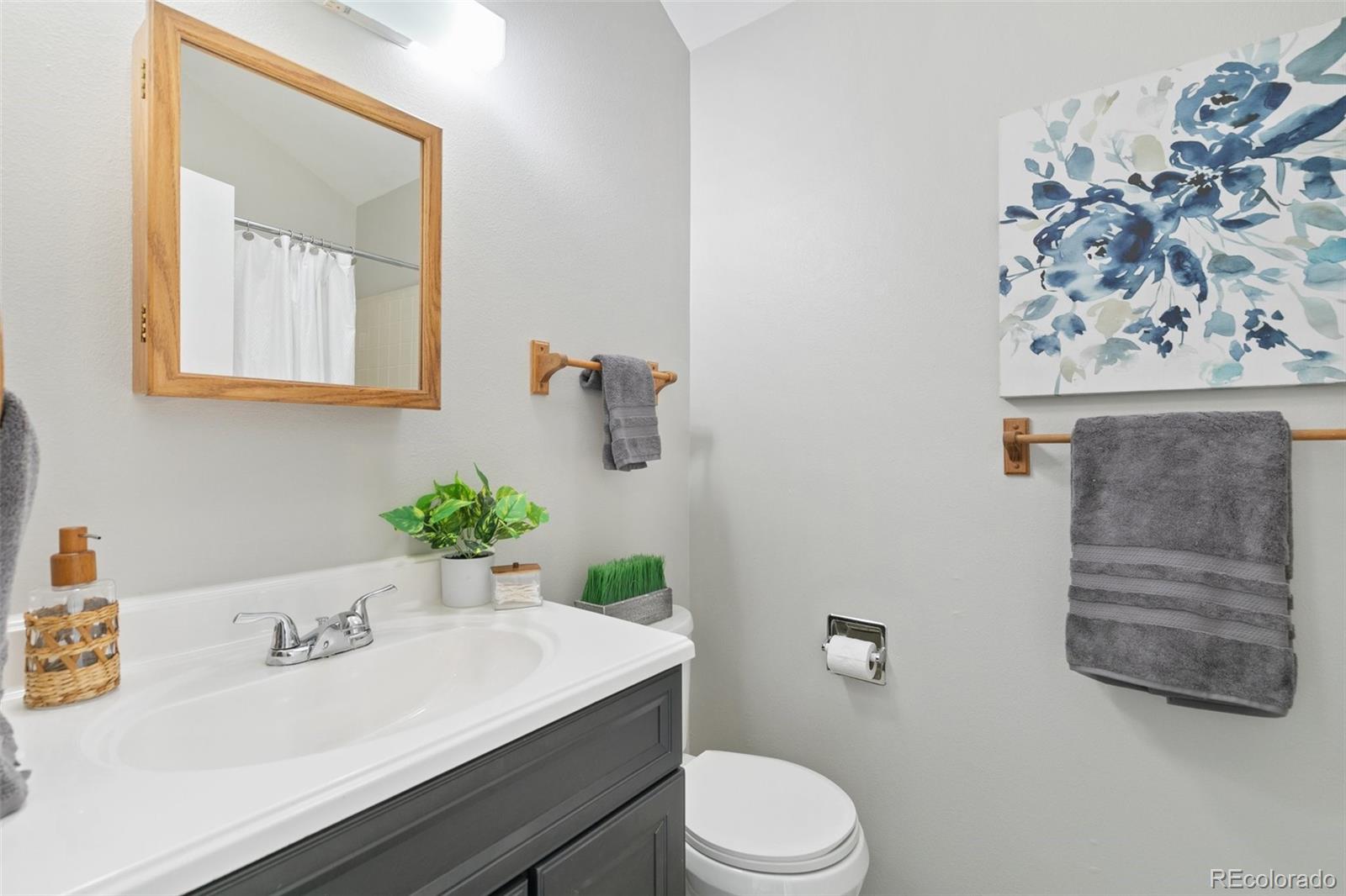 MLS Image #20 for 6753  mountain top lane,colorado springs, Colorado
