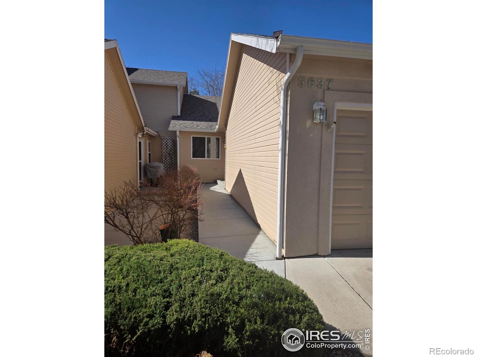 Report Image for 3637  Wild Horse Court,Loveland, Colorado