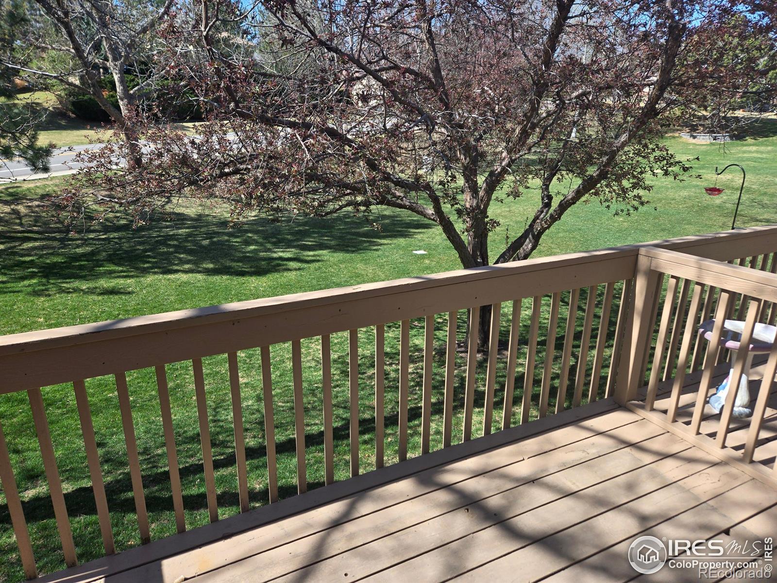 MLS Image #5 for 3637  wild horse court,loveland, Colorado