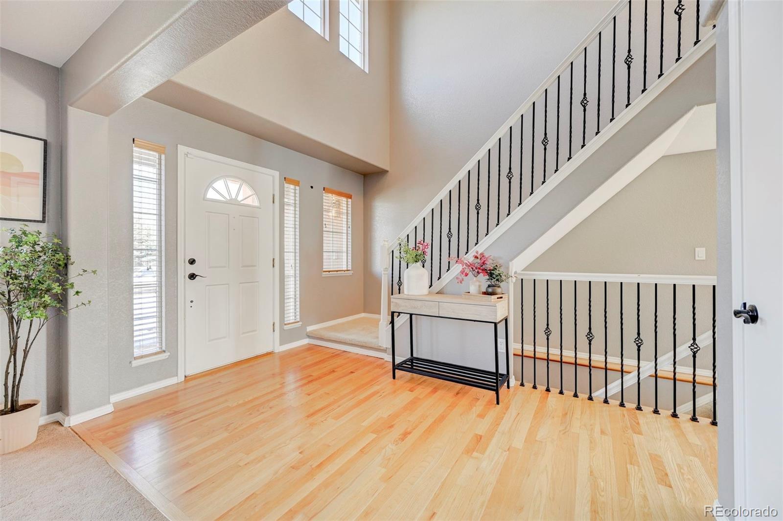 CMA Image for 6996  mustang rim drive,Colorado Springs, Colorado