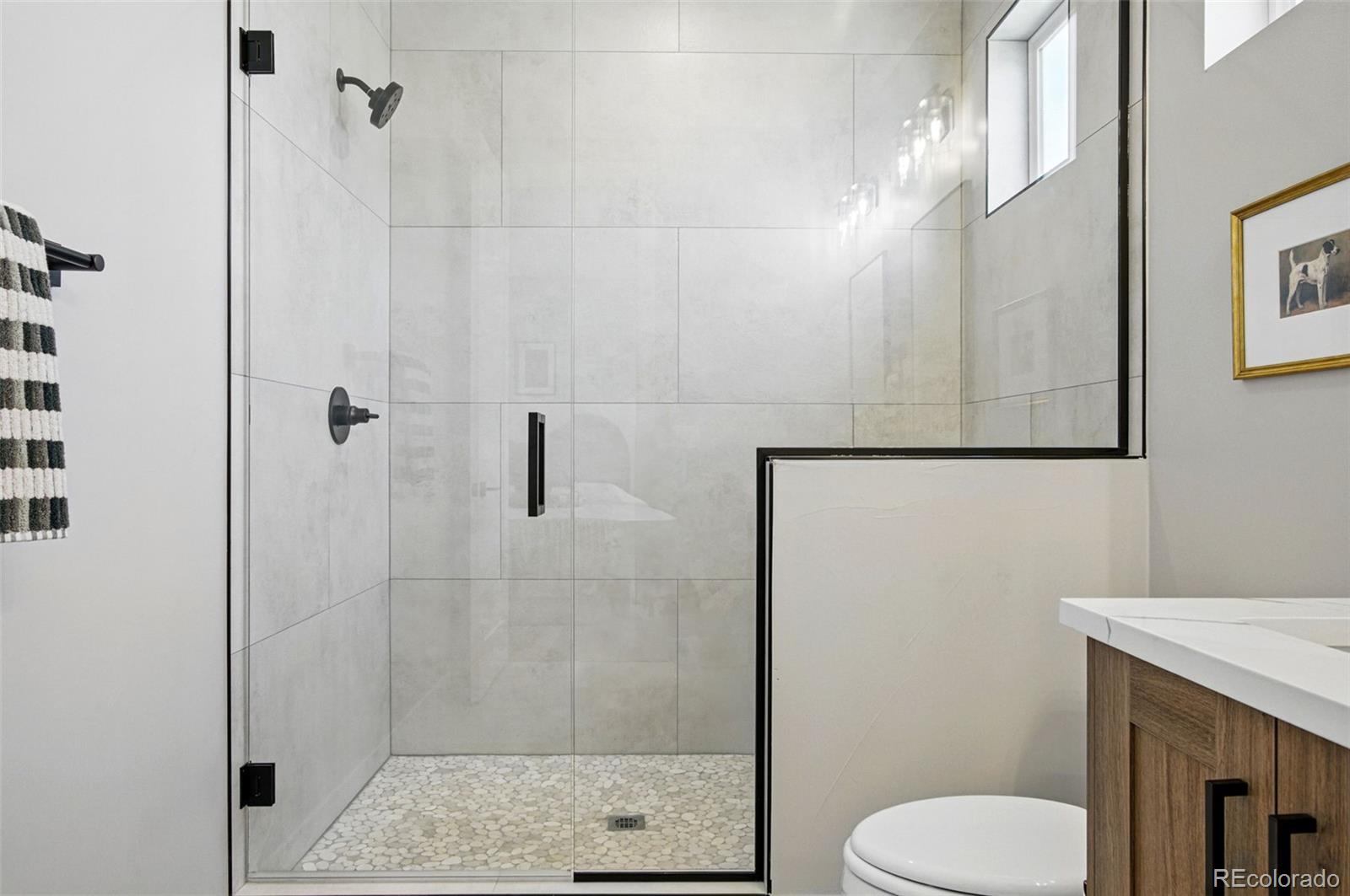 MLS Image #18 for 4125  tejon street,denver, Colorado