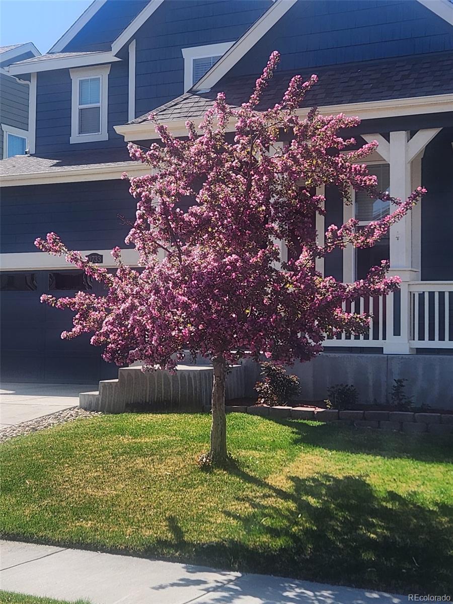 MLS Image #2 for 10733  salida street,commerce city, Colorado