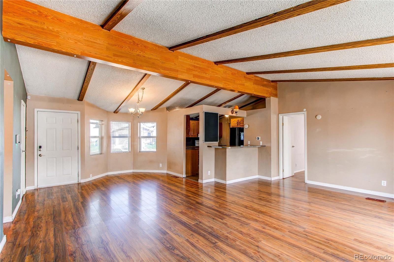 MLS Image #4 for 8441  hope court,denver, Colorado