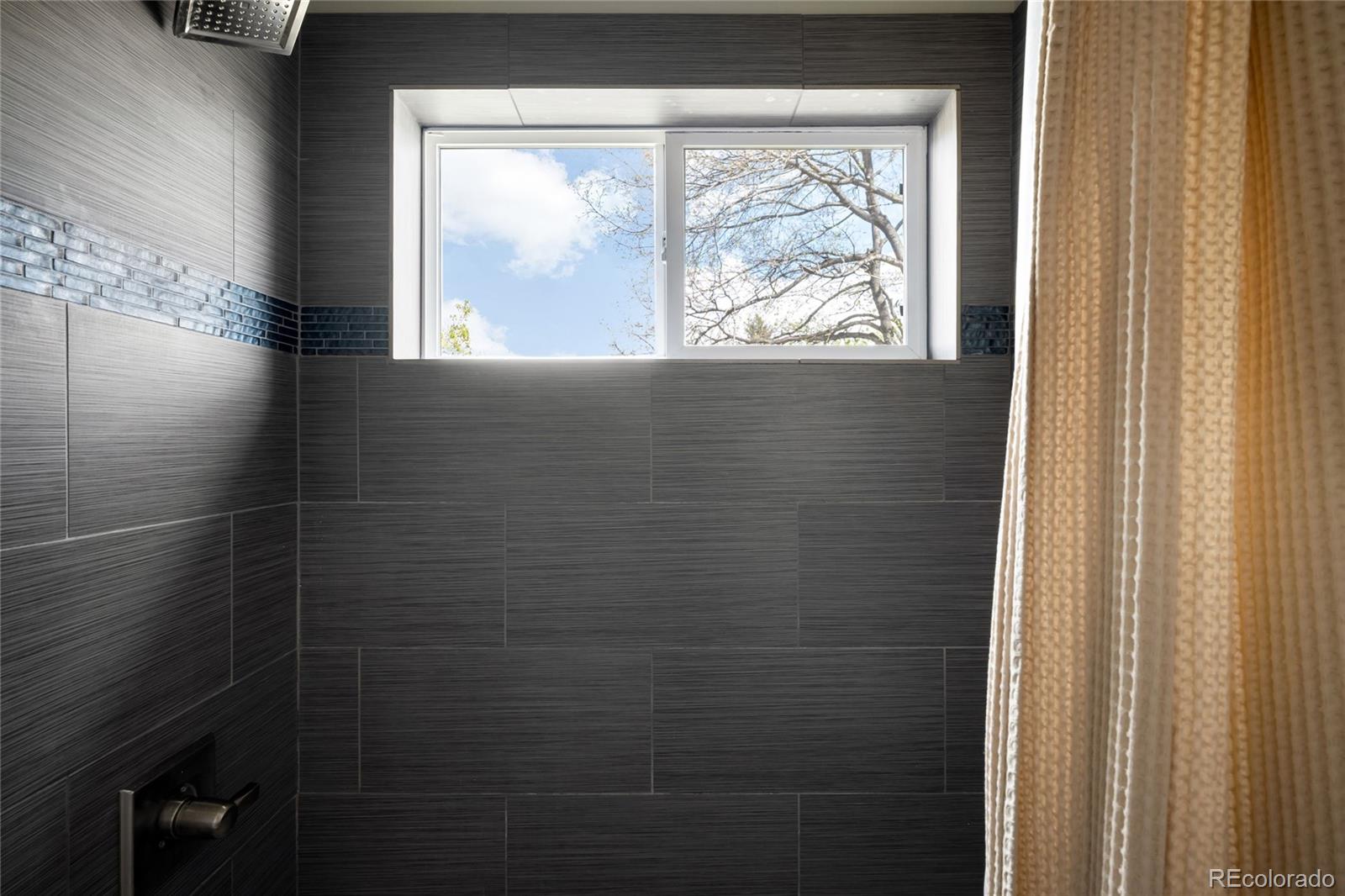 MLS Image #27 for 2855 s williams street,denver, Colorado