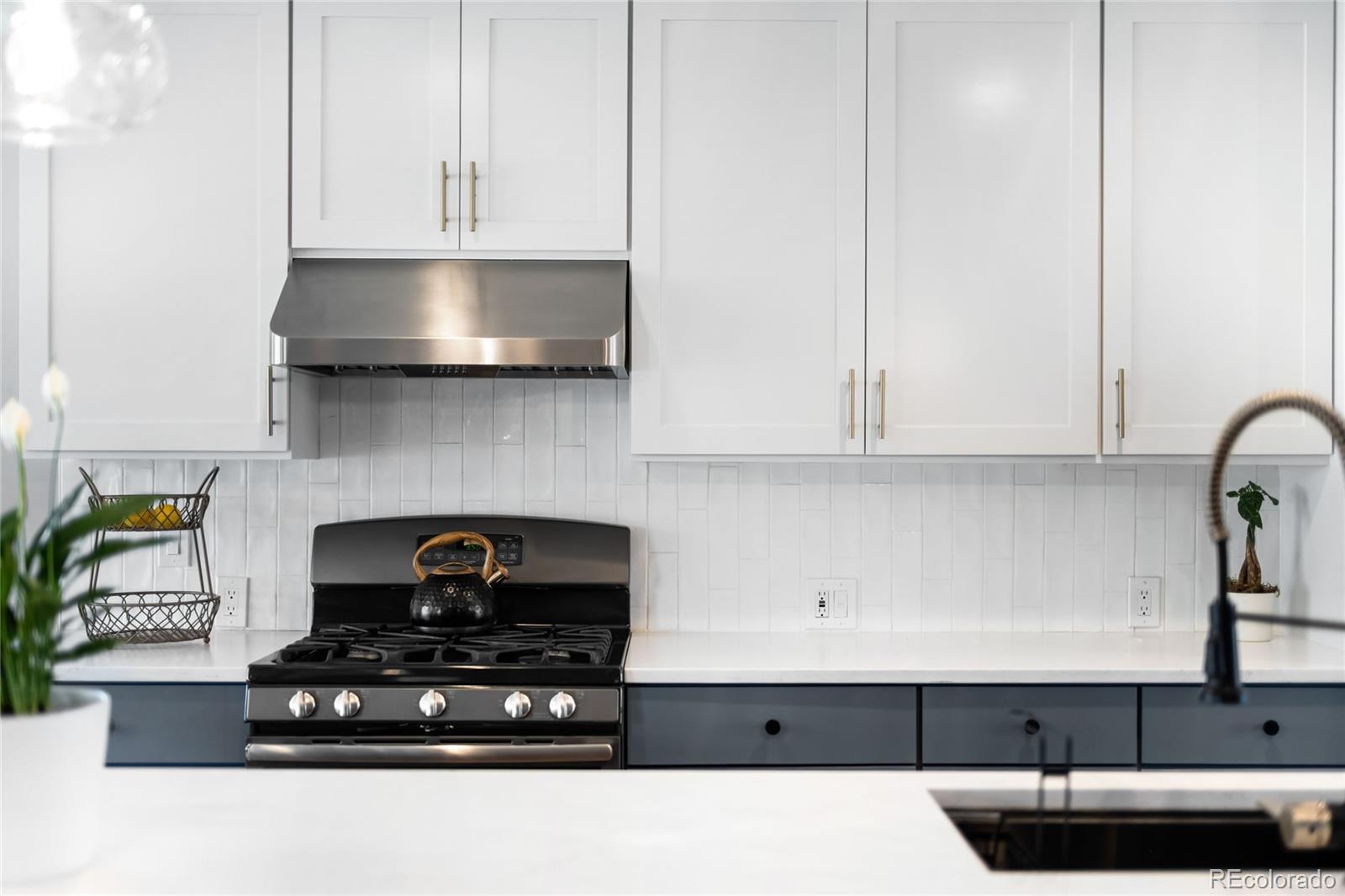 MLS Image #8 for 2855 s williams street,denver, Colorado