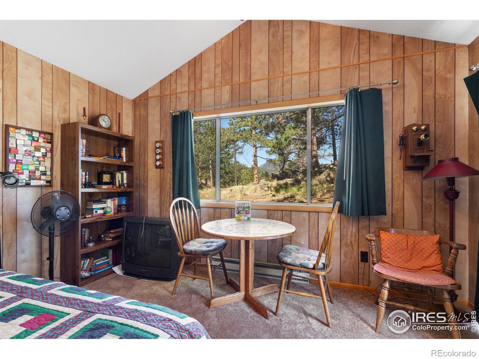 MLS Image #12 for 153  stanley cir dr,estes park, Colorado