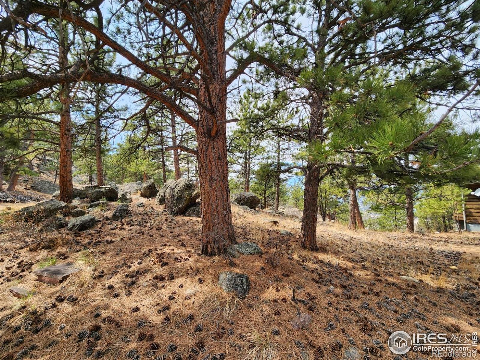 MLS Image #20 for 153  stanley cir dr,estes park, Colorado