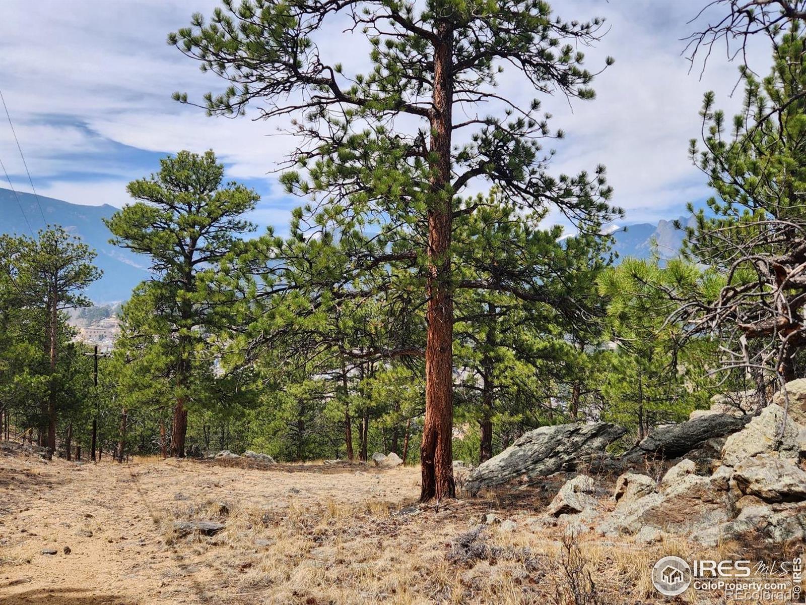 MLS Image #4 for 153  stanley cir dr,estes park, Colorado