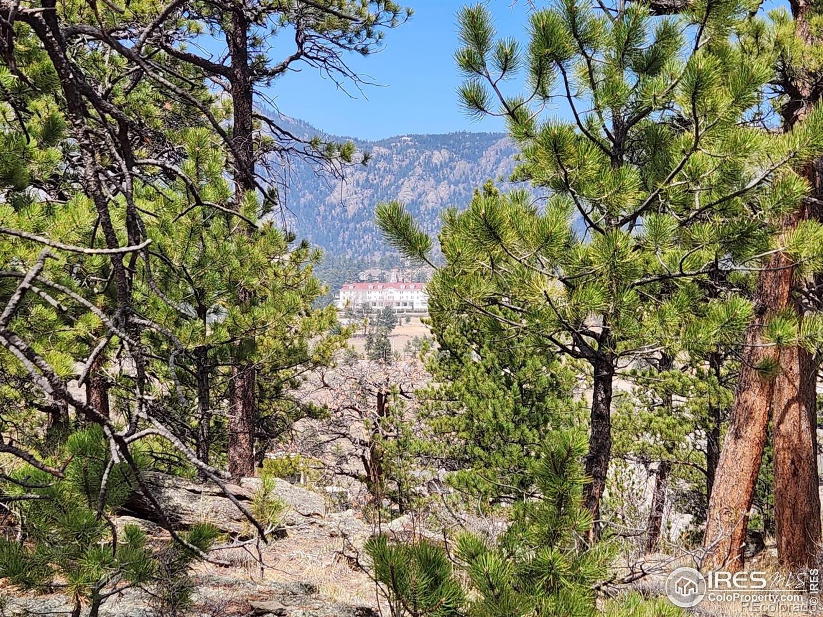 MLS Image #5 for 153  stanley cir dr,estes park, Colorado