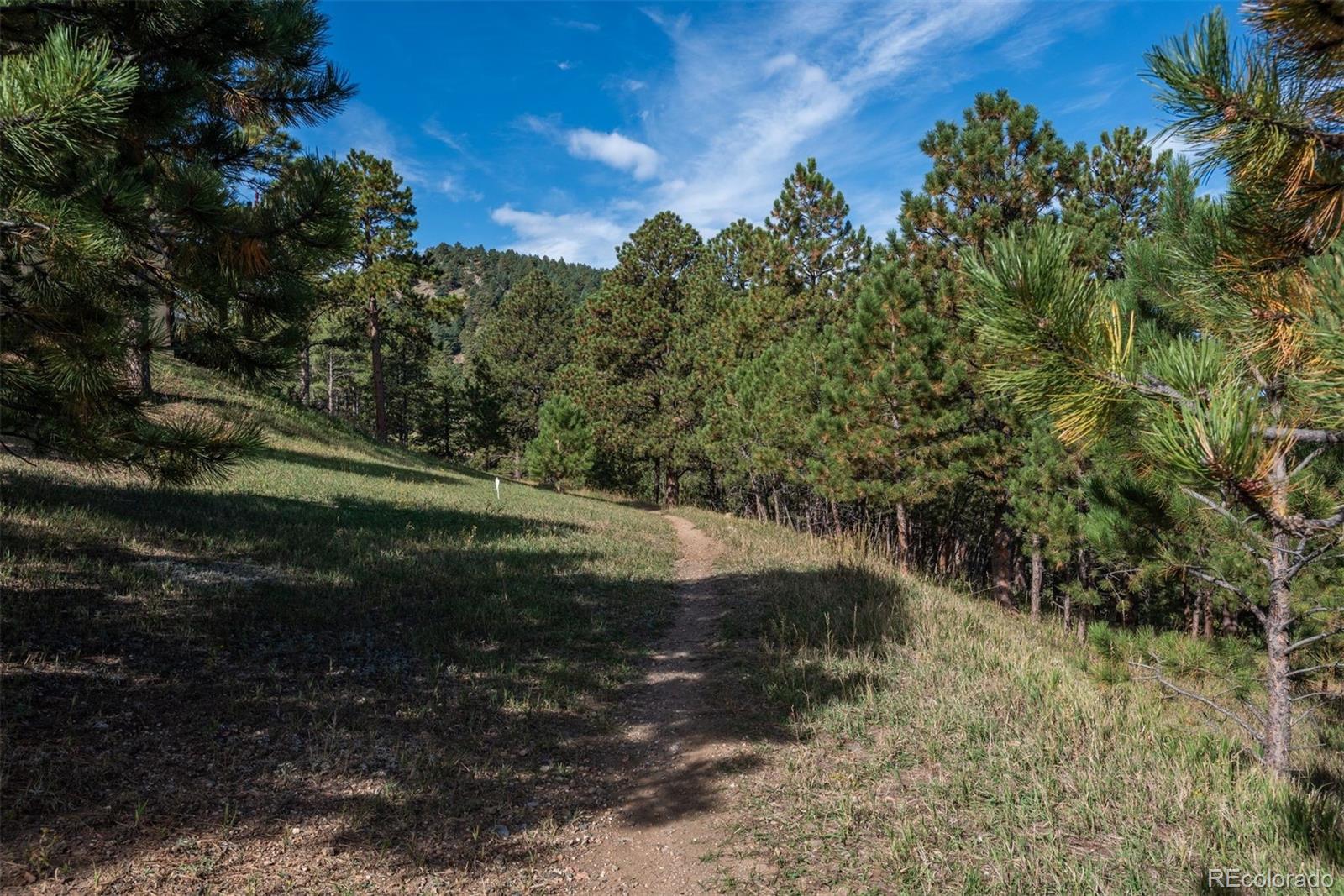 MLS Image #38 for 947  dogwood drive,golden, Colorado