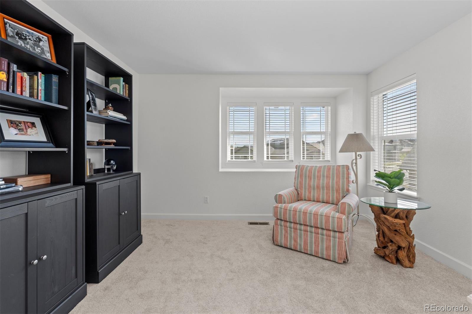 MLS Image #13 for 17213 w 93rd place,arvada, Colorado