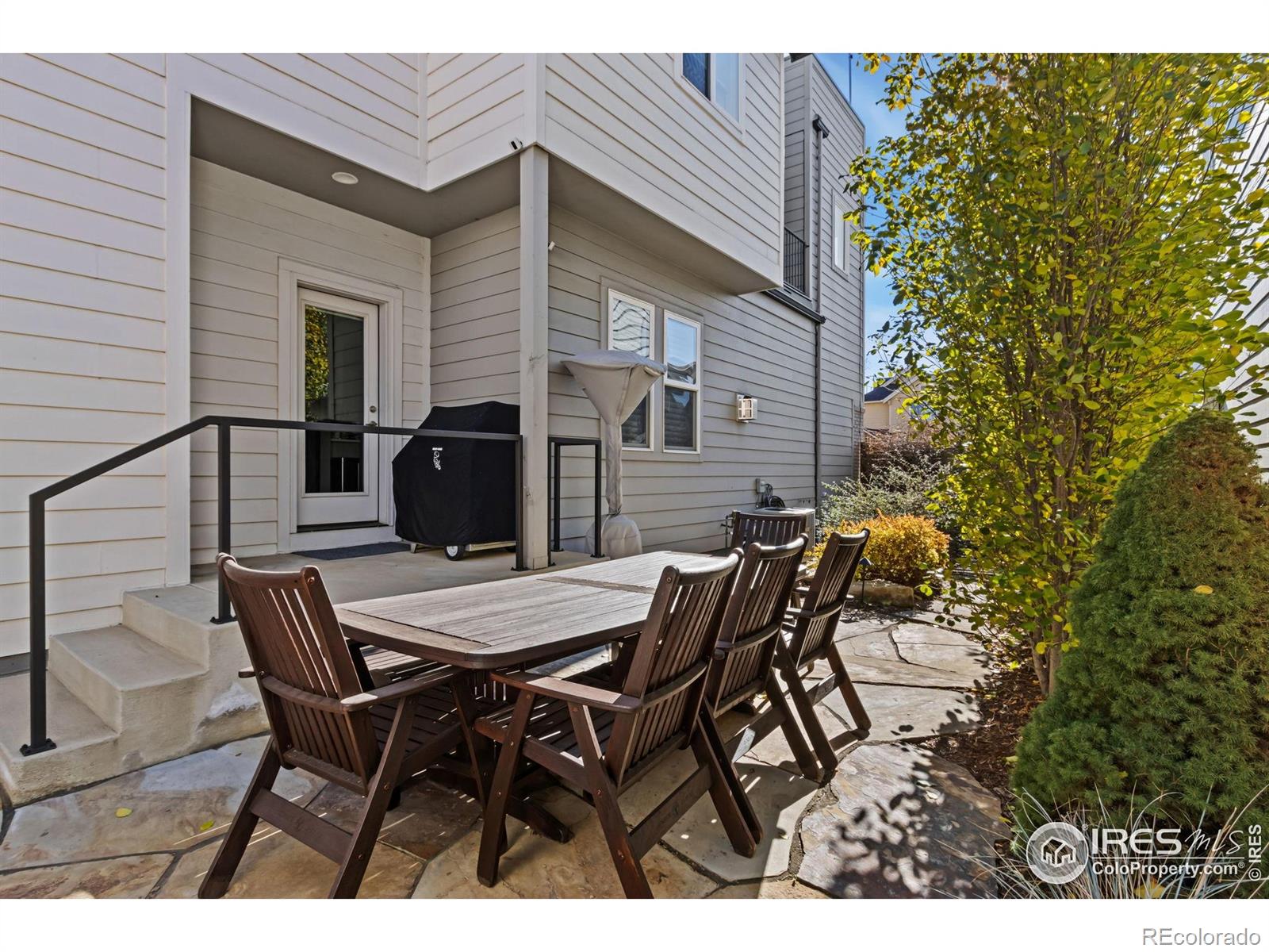 MLS Image #7 for 256  cajetan street,fort collins, Colorado