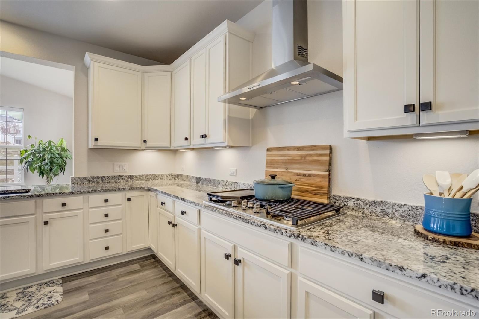MLS Image #10 for 5059  ditmars lane,castle rock, Colorado