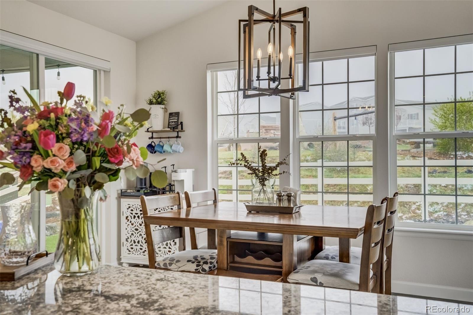 MLS Image #12 for 5059  ditmars lane,castle rock, Colorado