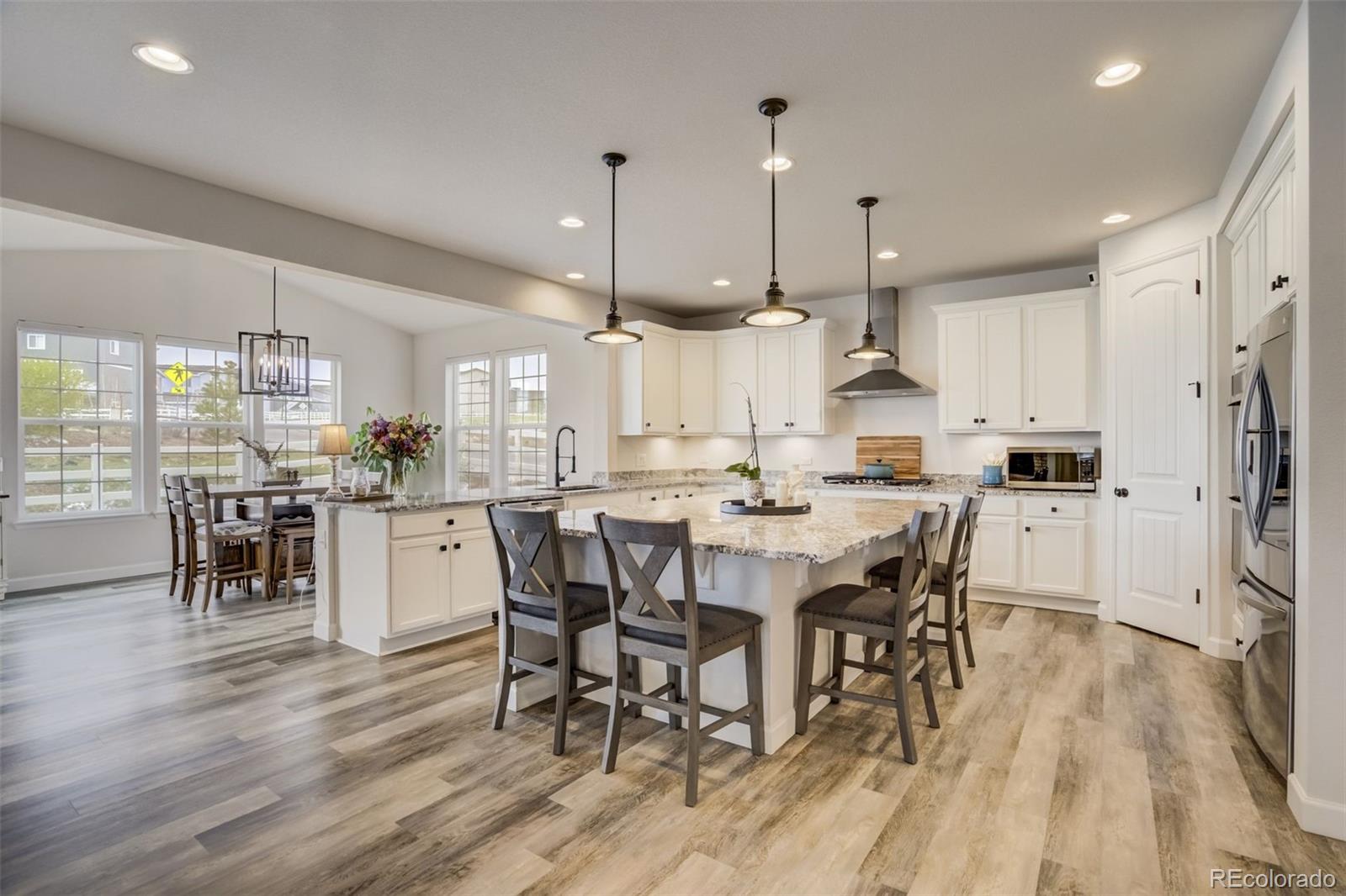 MLS Image #9 for 5059  ditmars lane,castle rock, Colorado