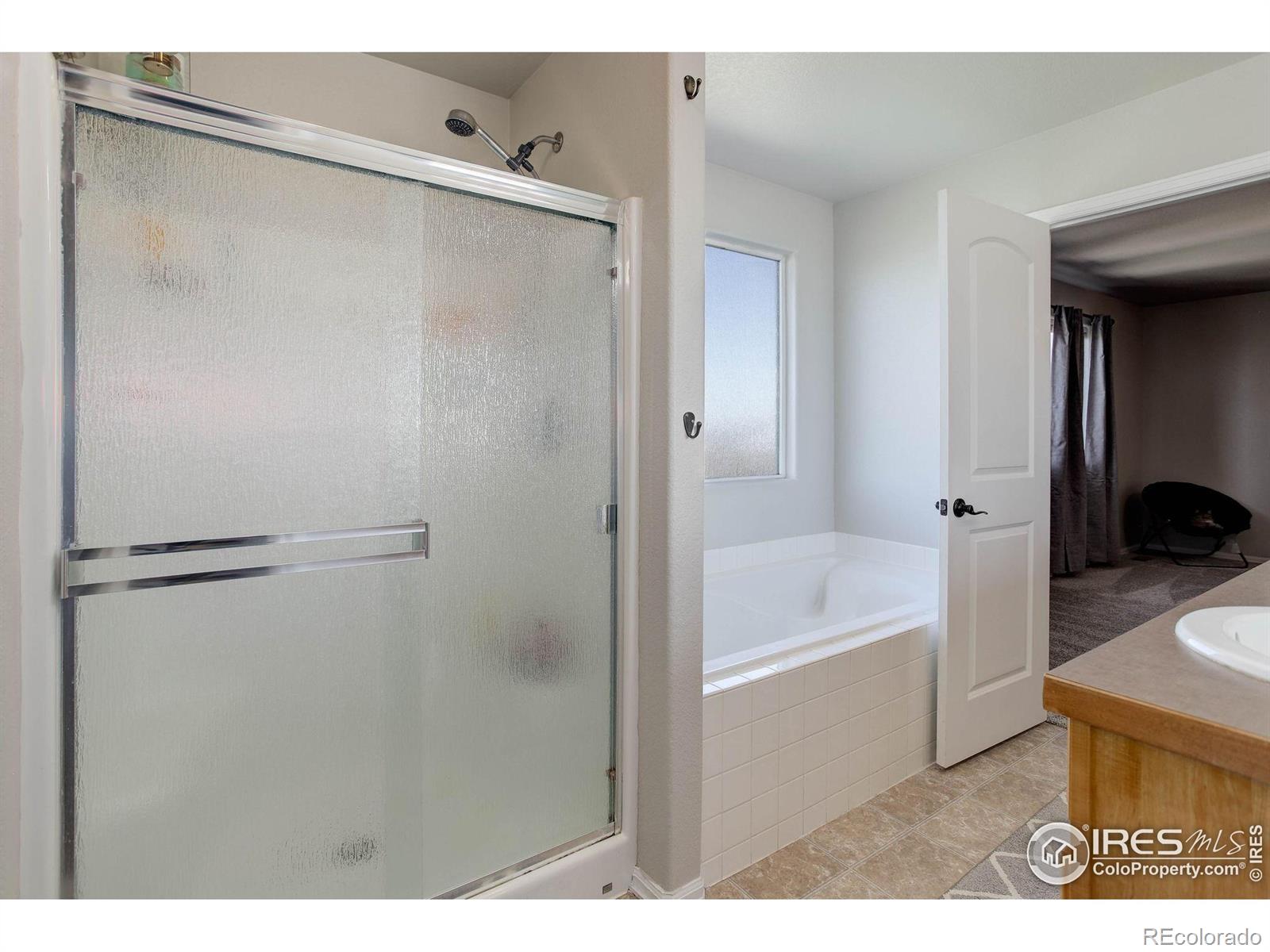 MLS Image #21 for 2036  bayfront drive,windsor, Colorado