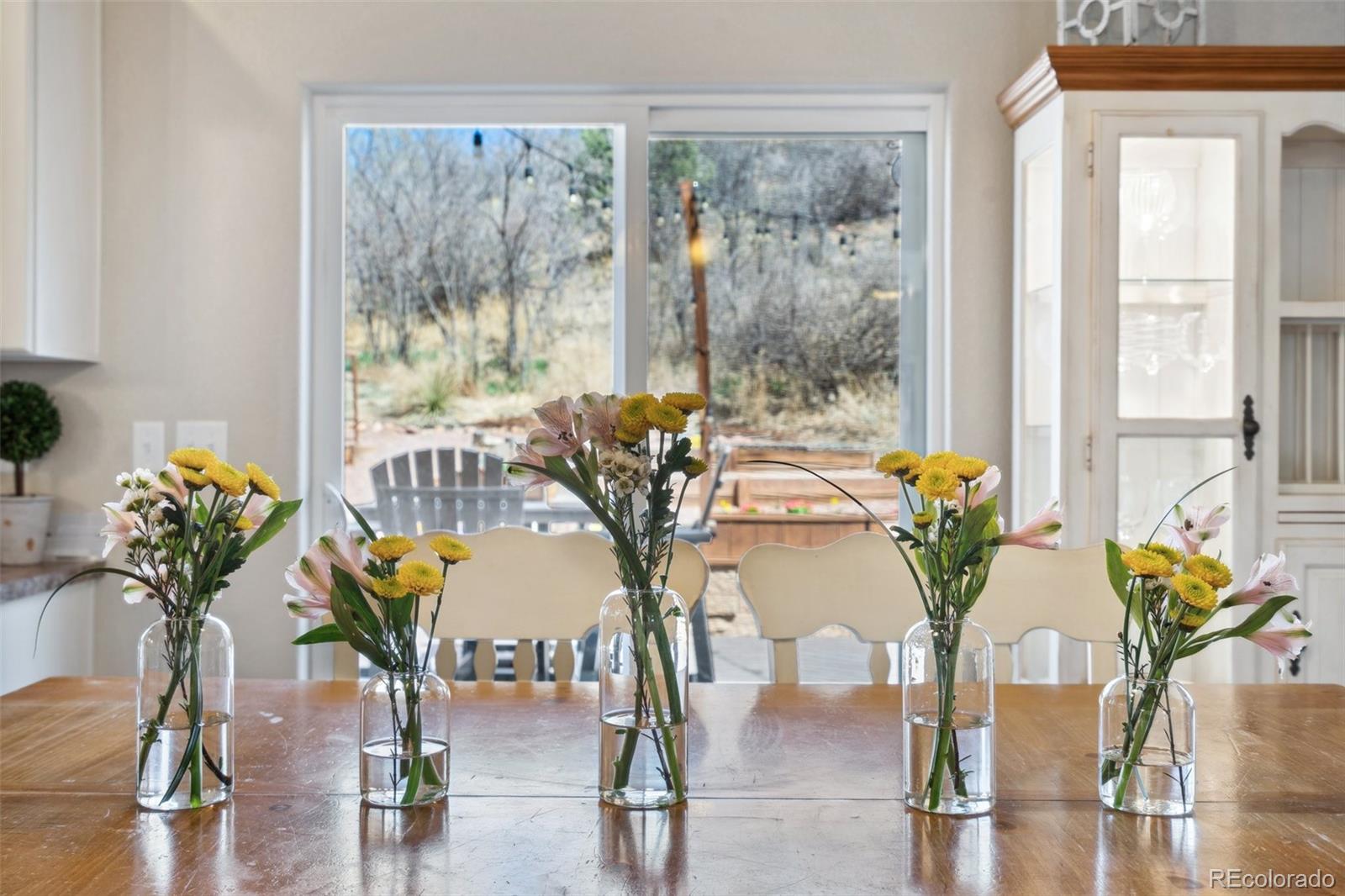 MLS Image #18 for 1271  ethereal circle,colorado springs, Colorado