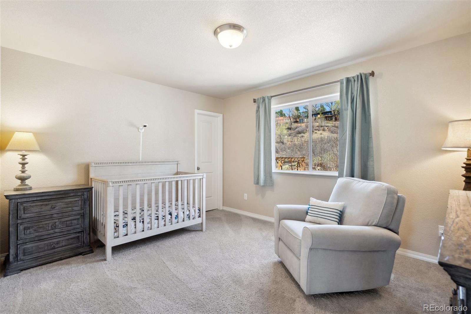 MLS Image #41 for 1271  ethereal circle,colorado springs, Colorado