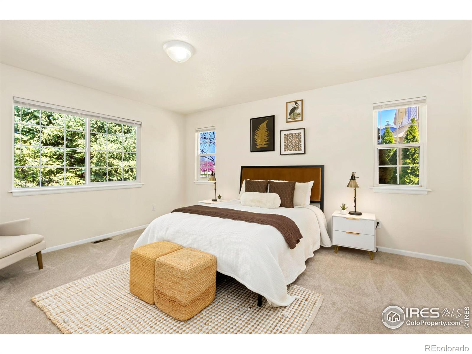 MLS Image #14 for 372  tacanecy drive,loveland, Colorado