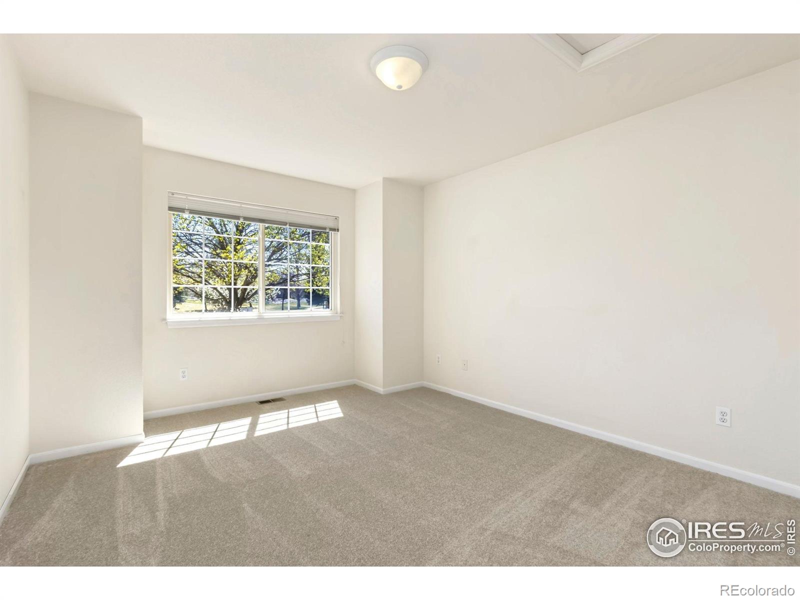 MLS Image #18 for 372  tacanecy drive,loveland, Colorado