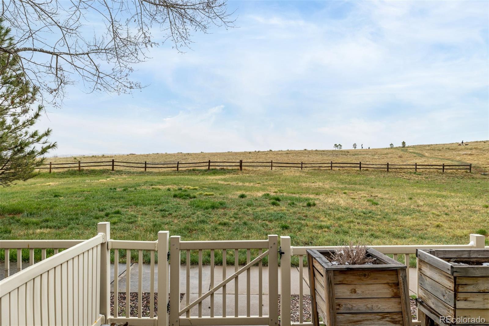 MLS Image #36 for 3578  tranquility trail,castle rock, Colorado