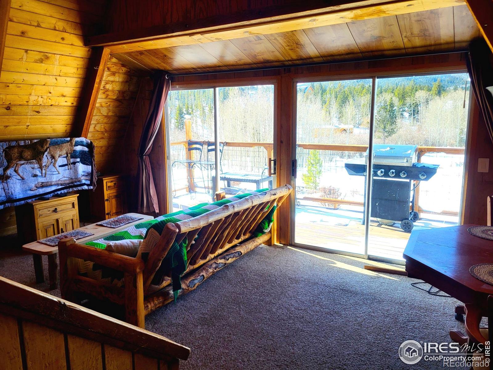 MLS Image #14 for 551  tesuque trail,red feather lakes, Colorado