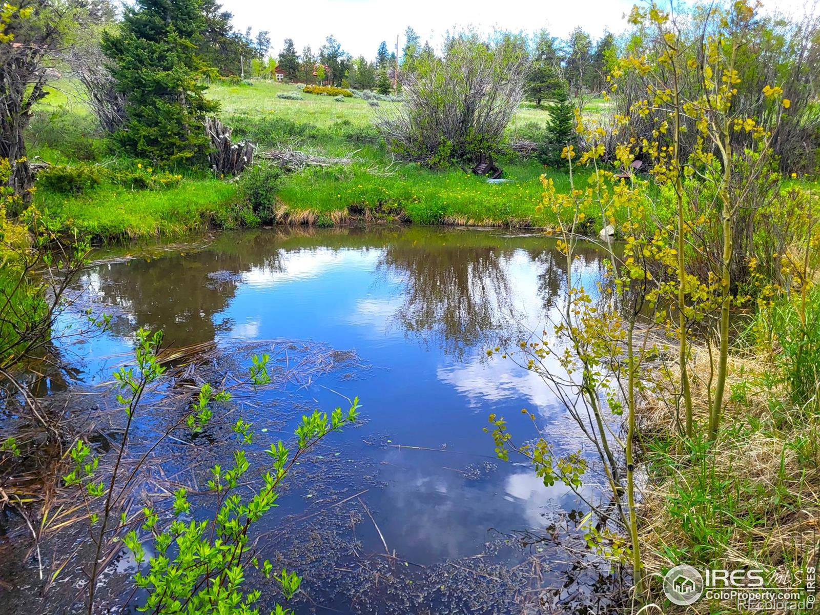 MLS Image #28 for 551  tesuque trail,red feather lakes, Colorado