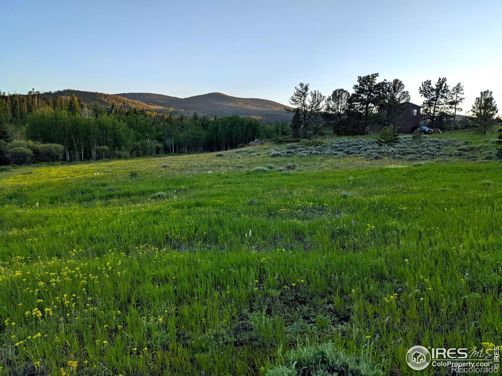 MLS Image #30 for 551  tesuque trail,red feather lakes, Colorado