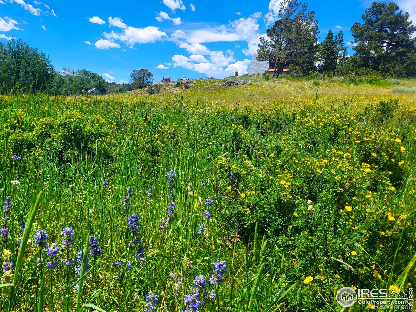 MLS Image #34 for 551  tesuque trail,red feather lakes, Colorado